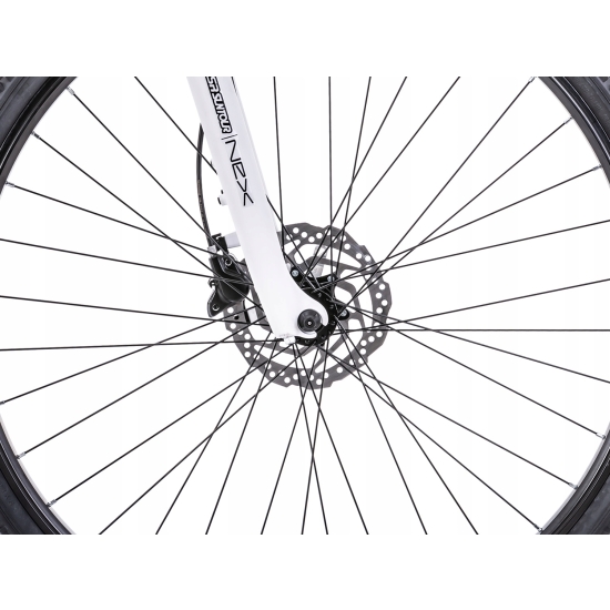 Rower ROMET ORKAN 4 D srebrno-fioletowy 20 L