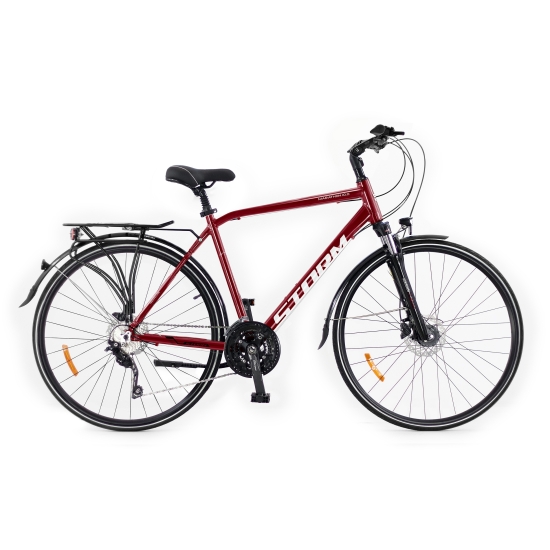 Rower STORM MARATHON 10.0 MAN bordo 19